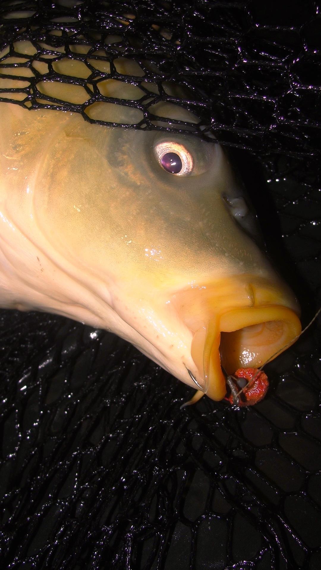 Greaca Cercani 14 - 15 mar. - dsc03923.JPG